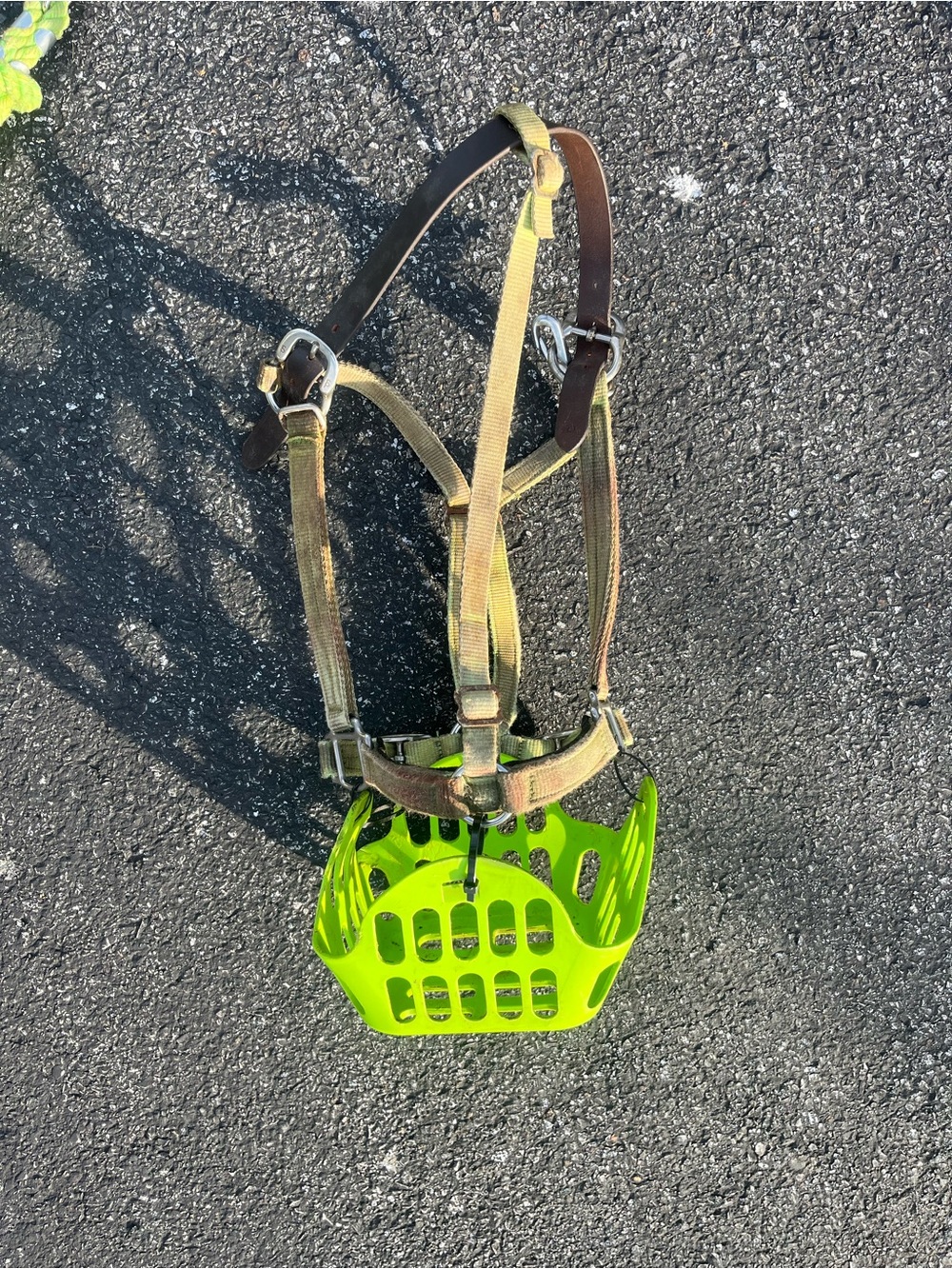 Green Guard Grazing Muzzle and Halter Cob